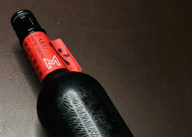 alt 1