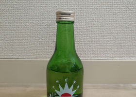 alt 1
