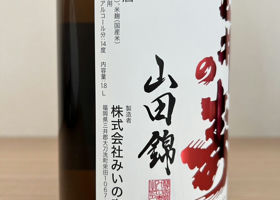 alt 3