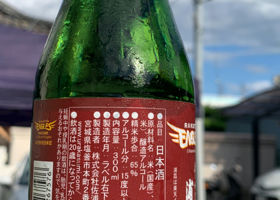 alt 2