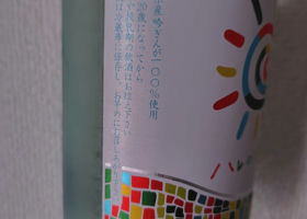 alt 3