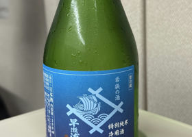 alt 1