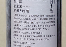 alt 3