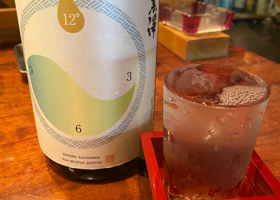 alt 1
