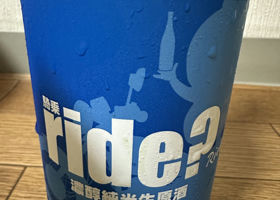 alt 1