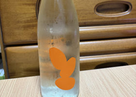 Ohmine Junmai チェックイン 1