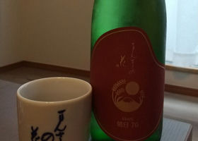 alt 1
