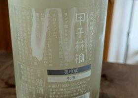 alt 2