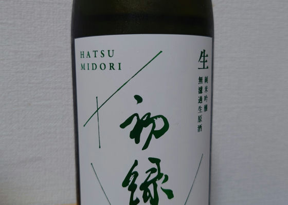 alt 1