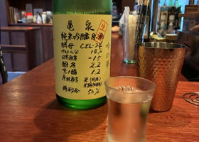 alt 1