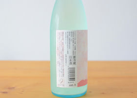 alt 3