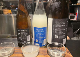 alt 1