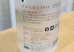 alt 3