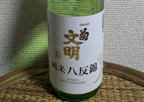 alt 1