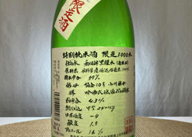 alt 1