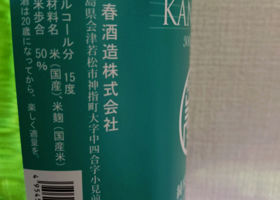 alt 3