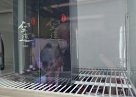 alt 3