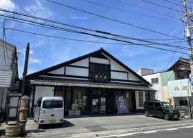 alt 3