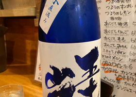 alt 1