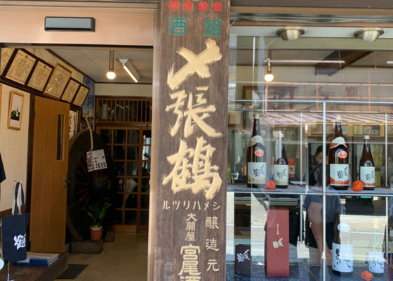 alt 1