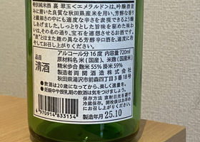alt 2