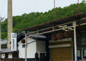 alt 4
