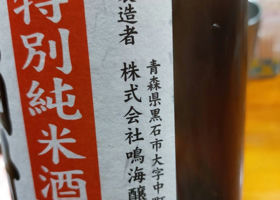 alt 3