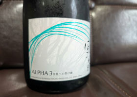 alt 2