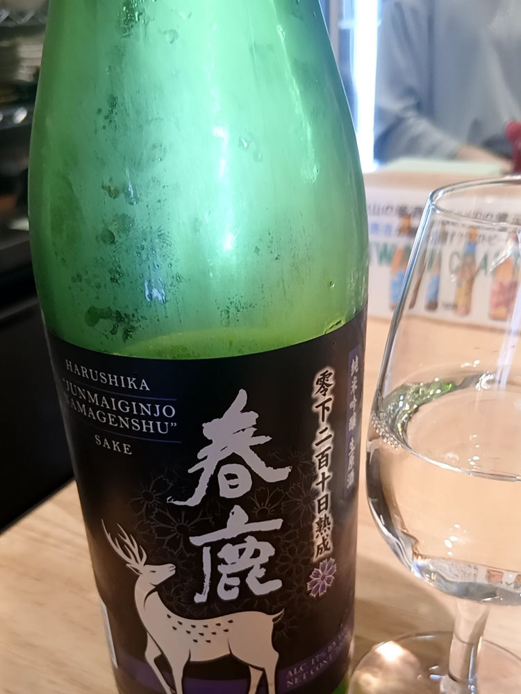 春鹿 チェックイン 1