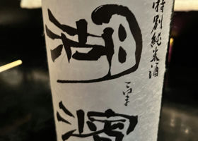 alt 3