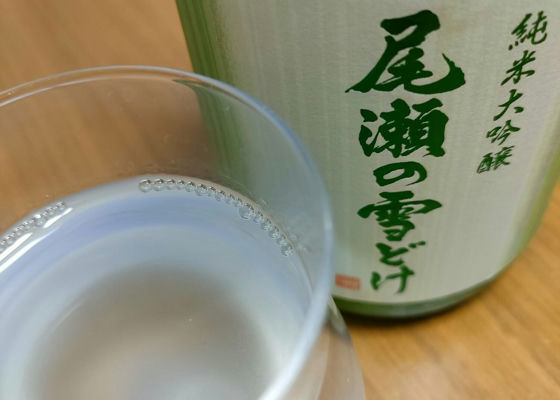 尾瀬の雪どけ