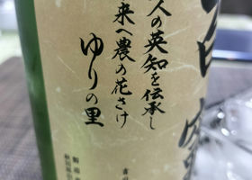 alt 3