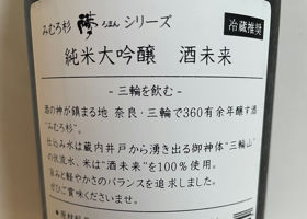 alt 3