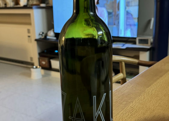alt 1