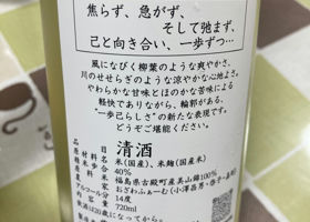 alt 3