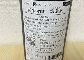 alt 3