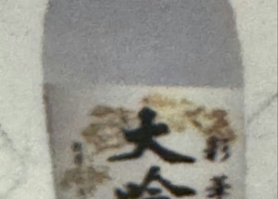 alt 1