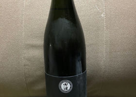 alt 1