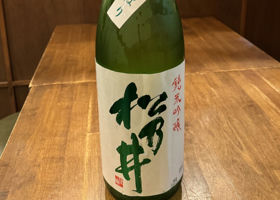alt 1