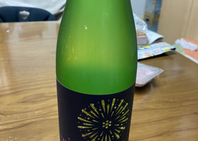 alt 1
