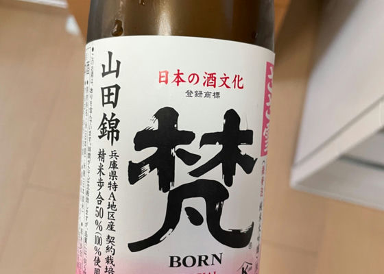 Born 签到 1