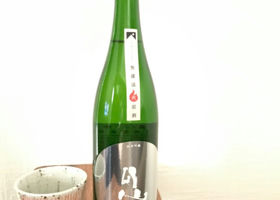 alt 1