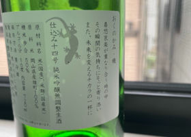 alt 2