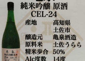 alt 3