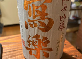 alt 1