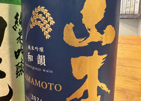 Yamamoto Check-in 1