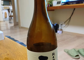 alt 3