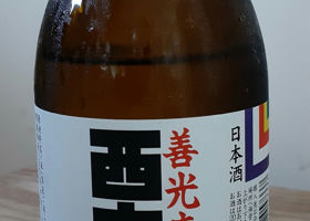 alt 1