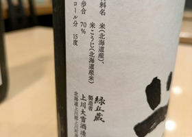 alt 1