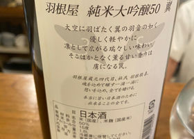 alt 2